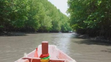 Balıkçı teknesi ya da Thung Prong Thong, Pak Nam Prasae, Tayland Rayong 'u olan uzun kuyruklu teknesi olan mangrov ormanlarıyla küçük bir nehirde tekne gezisi.