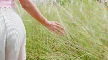 Blurred hand touching grass in field with her hand, Back beautiful woman walking in flowers on meadow through the fields, hand close up, Landscape nature vacation and healthy sun lifestyle