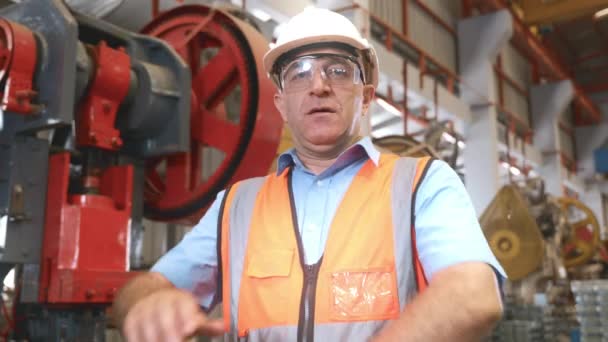 Egy Biztonsági Egyenruhás Idősebb Férfi Portréja Egy Nagy Modern Gyárban — Stock videók
