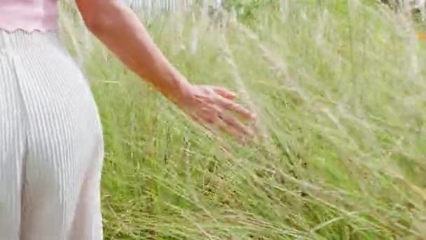Blurred Hand Touching Grass Field Her Hand Back Beautiful Woman — Vídeo de stock