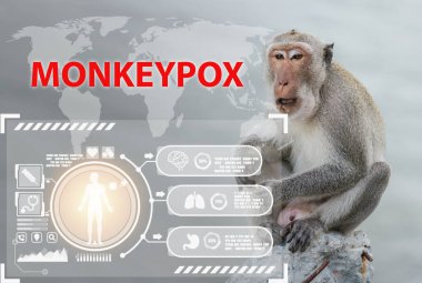 Monkeypox new disease dangerous. Symptom monkeypox cell with wild monkey animal MPXV virus, Sexual Health in uk, virus flies around monkey pox, Monkeypox or smallpox outbreak concept, contagious