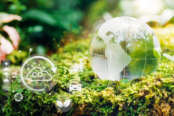 Eco Green Energy Sources Renewable Glass Globe Nature Forest Environment —  Fotos de Stock
