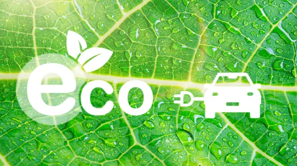 Eco Friendly Green Transport Energy Electric Car Eco Environment Icons — Stock Fotó