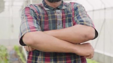 Close up arms of confident farmer man standing with arms crossed on vegetable plantation in modern hothouse, Agriculture farming