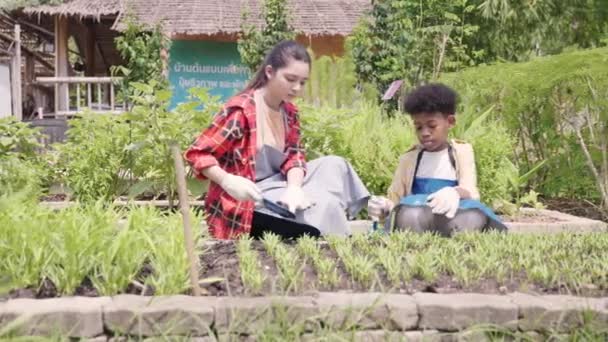 Crianças Grupo Menina Menino Ambiente Aprendizagem Diversificada Para Vegetais Vegetais — Vídeo de Stock
