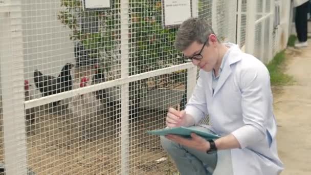 Happy Veterinarian Man Chicking Examining Chicken Clipboard Take Note Health — Stock Video