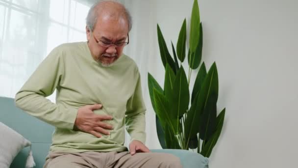 Senior Asian Man Sitting Sofa Having Suffering Stomach Ache Holding — Stock Video