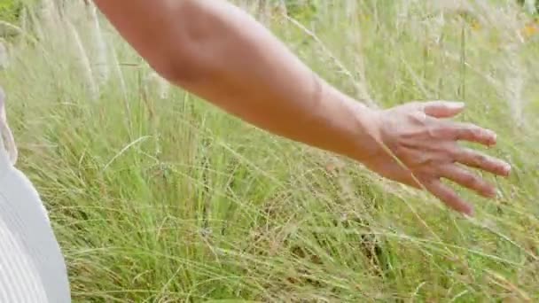 Zamazana Dłoń Dotykająca Trawy Polu Ręką Plecy Piękna Kobieta Spacerująca — Wideo stockowe