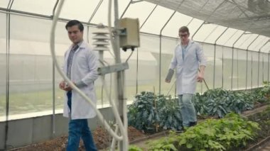 İki biyoteknoloji mühendisi ellerinde büyüteçle sebze çiftliğinde yürüyorlar, profesyonel tarım araştırmacısı dizüstü bilgisayarı birlikte yürüyorlar.