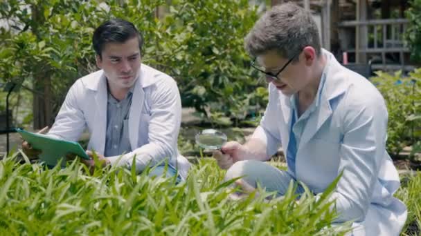 Zwei Biotechnologie Mann Ingenieur Mit Lupe Und Blick Auf Das — Stockvideo