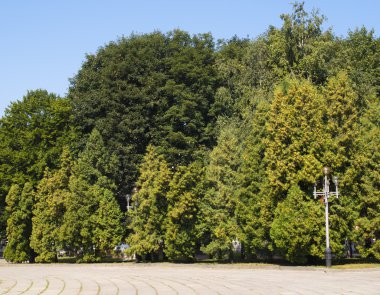 Şehir Parkı