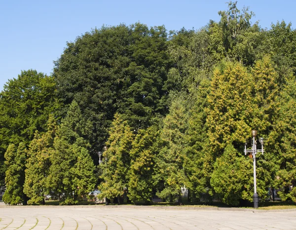 Parque da cidade Imagem De Stock