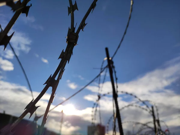Колючая Проволока Металлический Забор Близкий Вид Фото Тюрьма Пограничной Линии — стоковое фото