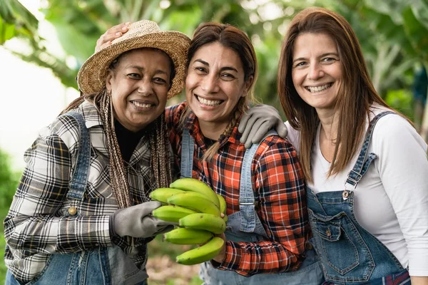 Petani Yang Bahagia Bersenang Senang Bekerja Perkebunan Pisang Konsep Gaya — Stok Foto