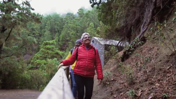 霧深い森の中で楽しい散歩をしている異なる年齢や民族を持つ女性のグループ 冒険と旅行の人々の概念 — ストック動画