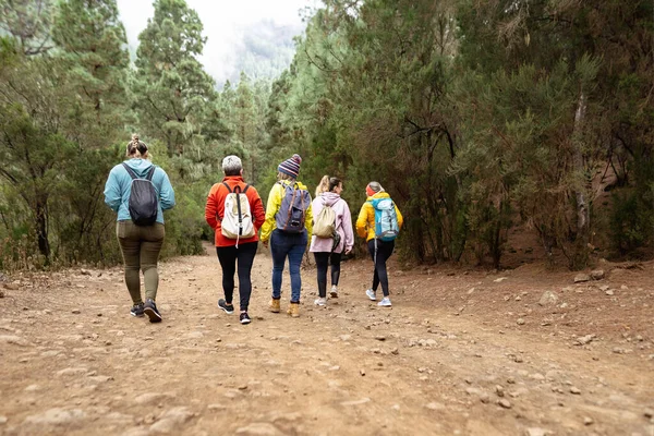 Grupo Mulheres Divertindo Andando Floresta Nebulosa Conceito Pessoas Aventura Viagens — Fotografia de Stock