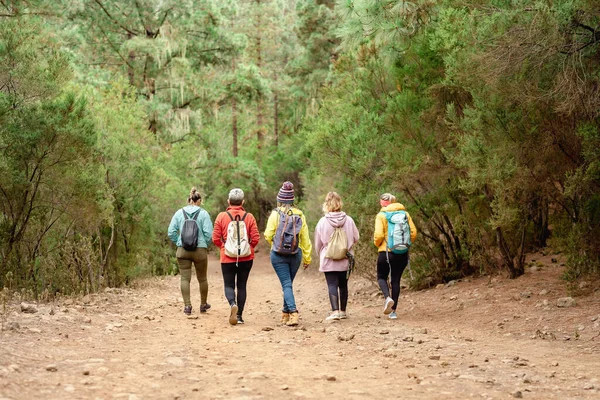 Grupo Mulheres Divertindo Andando Floresta Conceito Pessoas Aventura Viagens — Fotografia de Stock