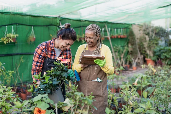 Jardineiros Femininos Felizes Trabalhando Juntos Loja Plantas Flores — Fotografia de Stock