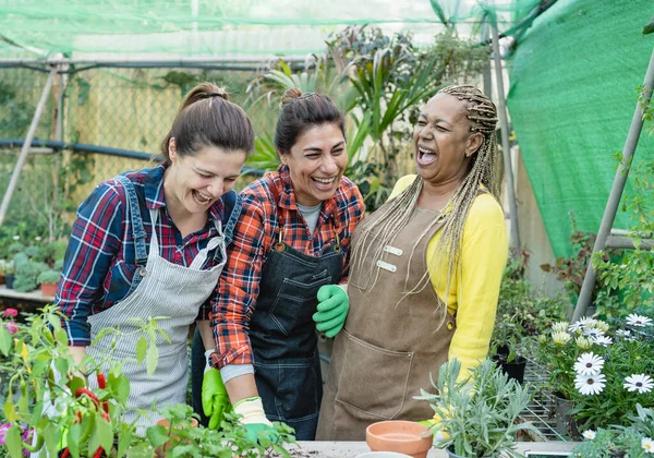 Jardineiros Multirraciais Felizes Divertindo Trabalhando Plantas Flores Loja Jardim — Fotografia de Stock