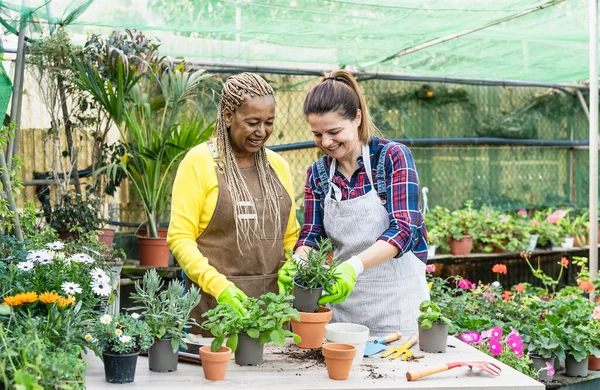 Mulheres Felizes Divertindo Trabalhando Juntas Loja Jardim Flores — Fotografia de Stock