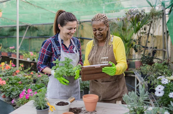 Wanita Bahagia Bersenang Senang Bekerja Sama Toko Kebun — Stok Foto