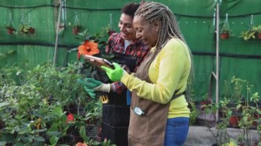 Çiçekçi ve çiçekçide birlikte çalışan mutlu kadın bahçıvanlar.