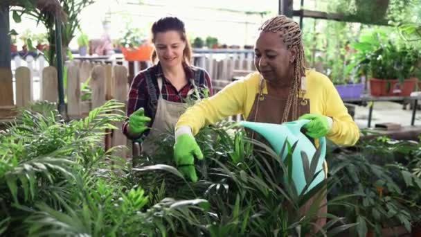 정원에서 일하는 여자들 — 비디오