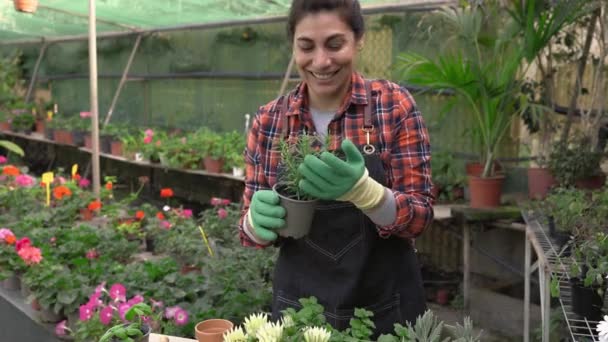 Mujer Jardinero Trabajando Floristería — Vídeo de stock