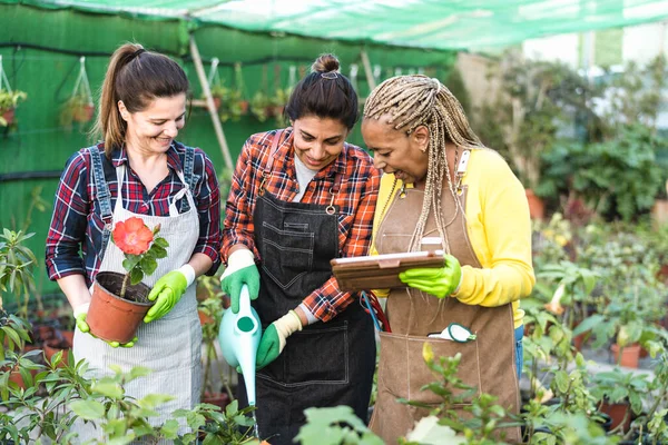 Jardineiros Multirraciais Trabalhando Juntos Plantas Flores Loja Jardim — Fotografia de Stock