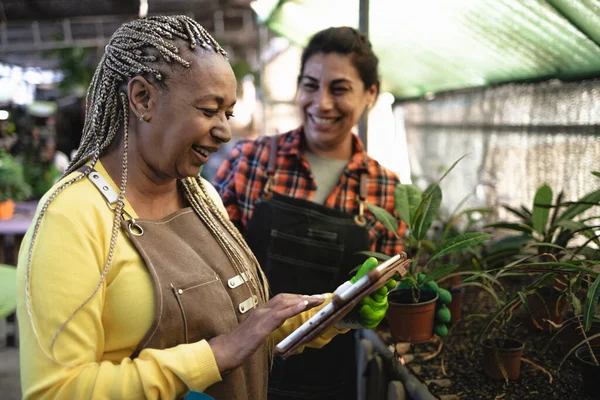 Perempuan Bahagia Tukang Kebun Bekerja Sama Tanaman Dan Toko Bunga — Stok Foto