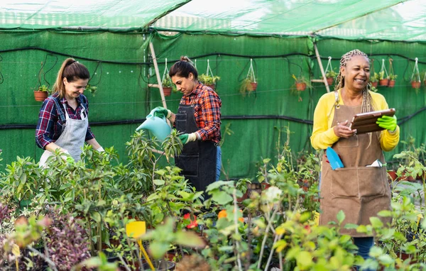 Jardineros Multirraciales Trabajando Juntos Tienda Minorista Plantas Flores —  Fotos de Stock