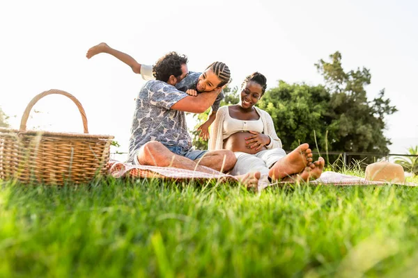 Keluarga Multirasial Yang Bahagia Bersenang Senang Bersama Saat Piknik Taman — Stok Foto