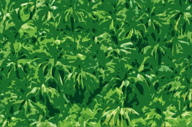 palmiye ağaçları ile tropikal orman yeşil arka plan.