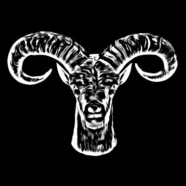 bir dağ keçisi erkek portresi izole siyah arka plan üzerine.