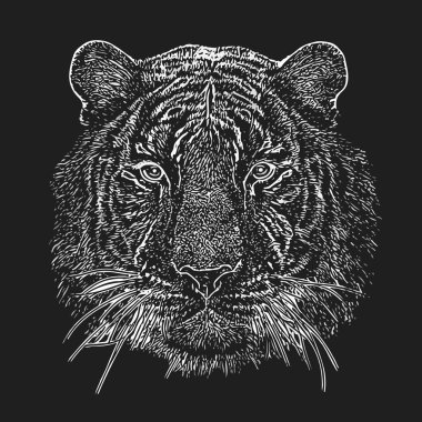 psychedelic kaplan baş siluet siyah arka plan üzerine izole,.