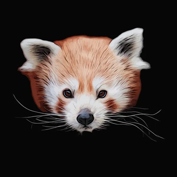 An eye to eye grunge style portrait of a cute red panda, isolated on black background. — Stock Vector