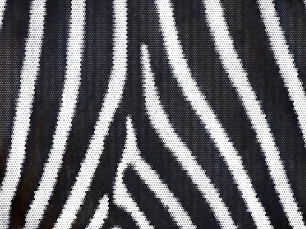 Zbliżenie zebra skóry streszczenie tekstura. natura paski wzór dla niektórych czarno-białe tło. — Wektor stockowy