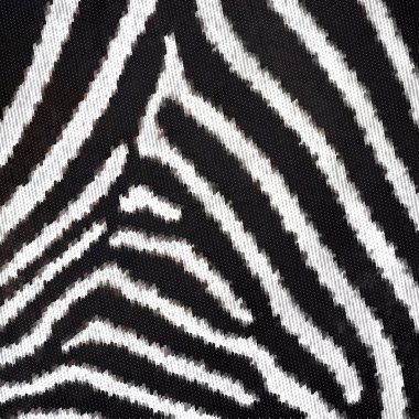 kare soyut desen portre zebra derisi. doğa çizgili desen siyah-beyaz bir arka planı için.