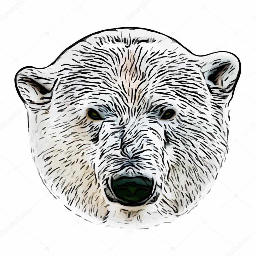 Grunge style head portrait of a polar bear female. The most dangerous animal of the Arctic region. Wild beauty of severe raptor.