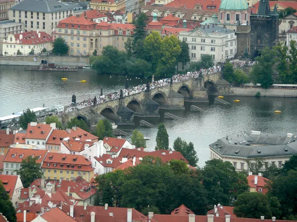 Вид на город и мосты, Чехия — стоковое фото
