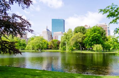 Boston Public Garden clipart