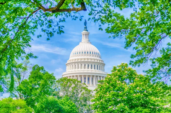 Edificio del Capitolio de los Estados Unidos, Washington DC — Foto de Stock