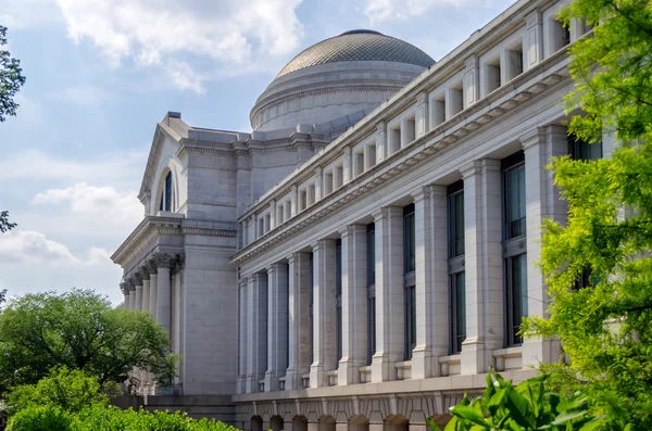 Museo nazionale di storia naturale Smithsonian — Foto Stock