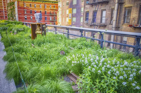 High Line Park, New York — Stockfoto