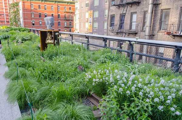 High Line Park, New York — Stockfoto