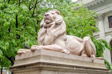 Aslan heykeli, new york city