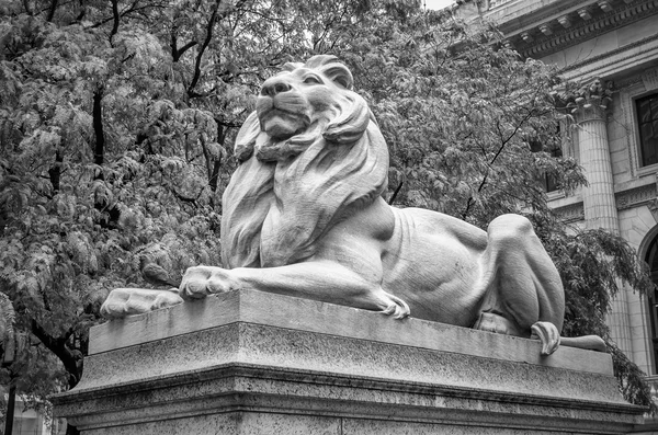 Statua del leone, New York — Foto Stock