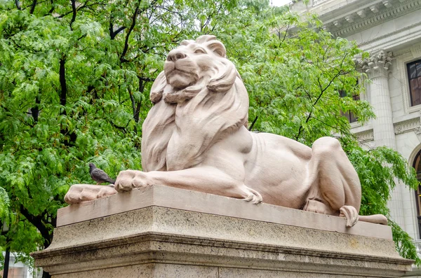 Statua del leone, New York — Foto Stock