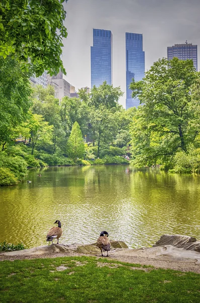 Parque Central, Manhattan —  Fotos de Stock