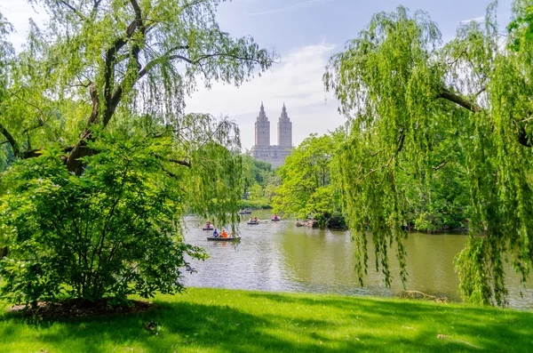 Central Park, Manhattan — Stockfoto